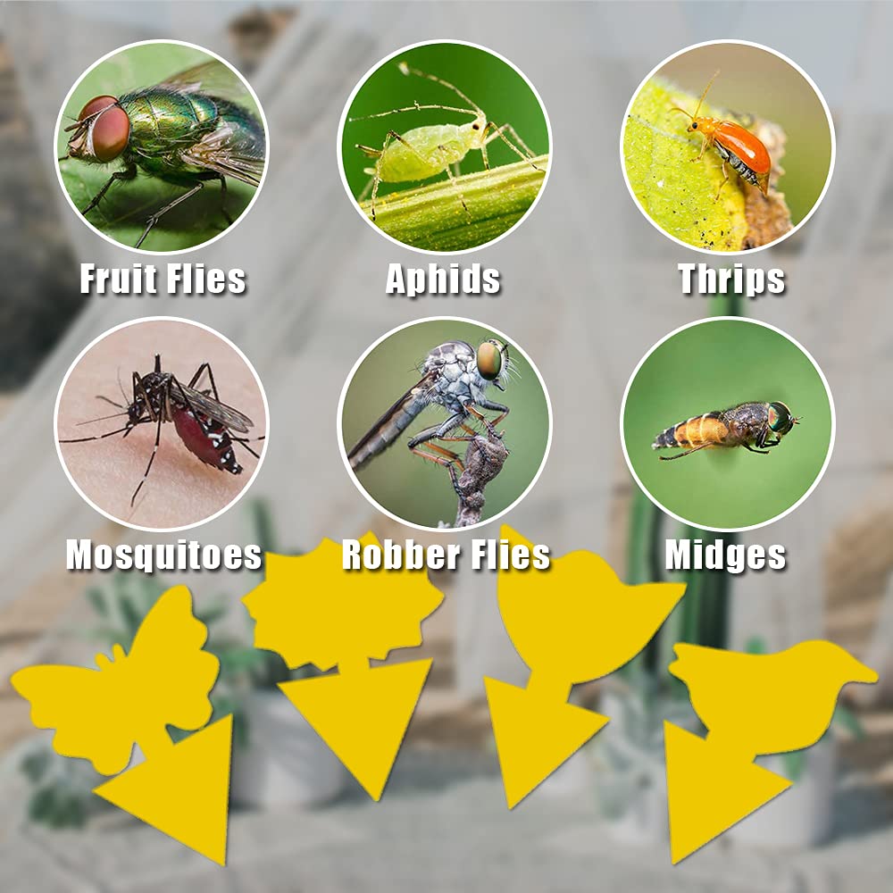 36 Pack Yellow Sticky Traps for House Plants - Fungus Gnat Killer, Whitefly & Mosquito Control - Indoor/Outdoor Plant Protection Against Thrips, Leafminers & Flying Insects (Great for Greenhouses, Gardens & Potted Plants)