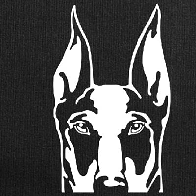 Doberman Pinscher Dog
