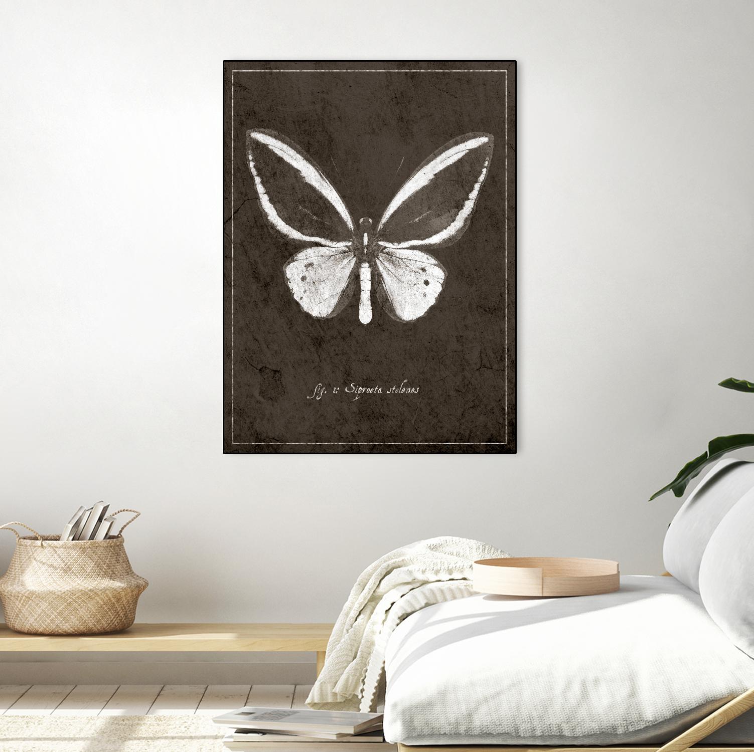 Butterfly I - Elegant Butterfly Jewelry for Women | Perfect for Parties, Weddings & Everyday Wear