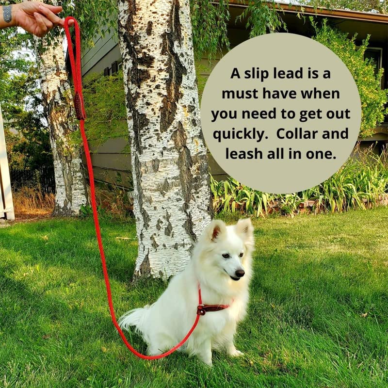 Small Dog Emergency First Aid Kit - Portable Pet Safety Kit for Travel & Hiking in Durable Cinch Bag