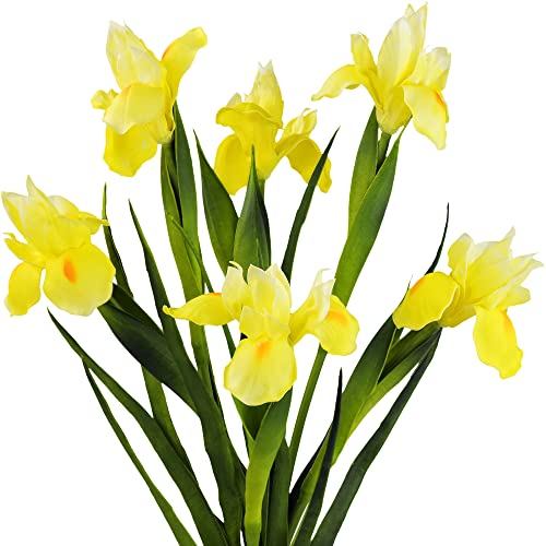 Lemon Yellow