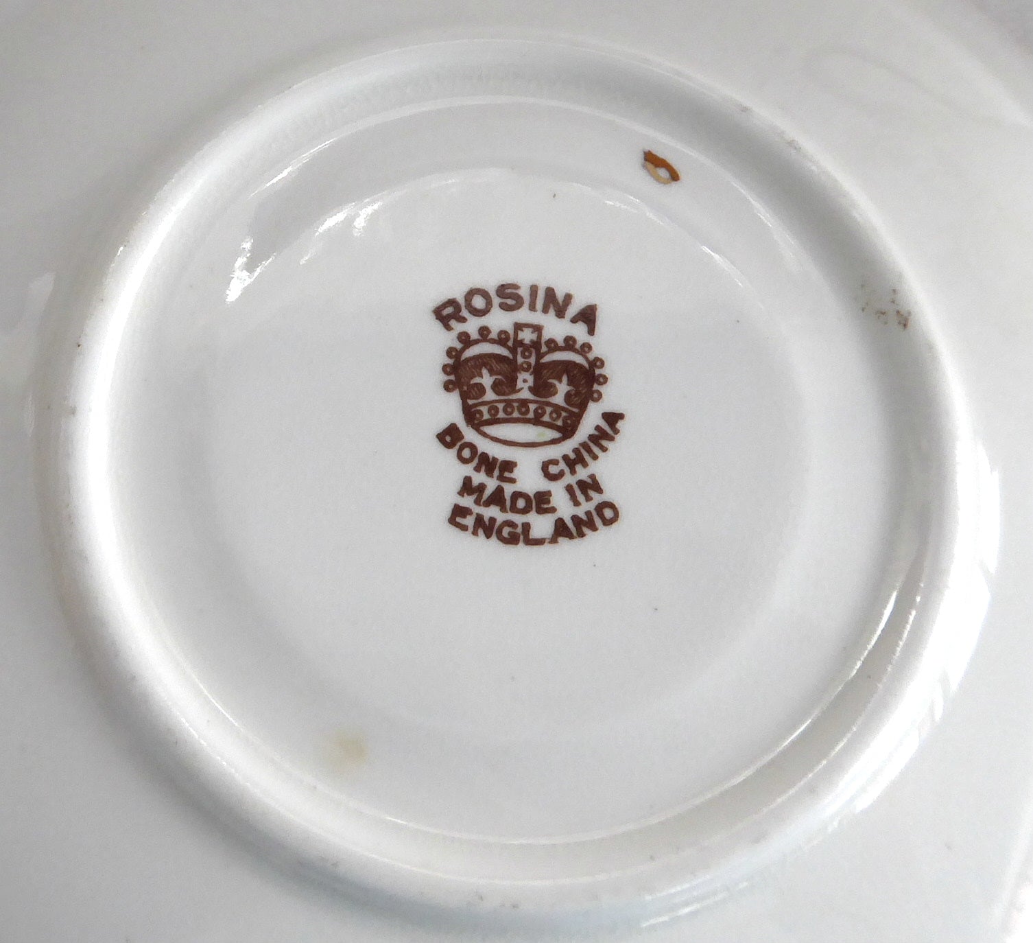 Vintage Rosina England Hand-Painted Floral Tea Cup and Saucer Set - Yellow Dog Roses Brown Transferware for Afternoon Tea, Collectible English Bone China