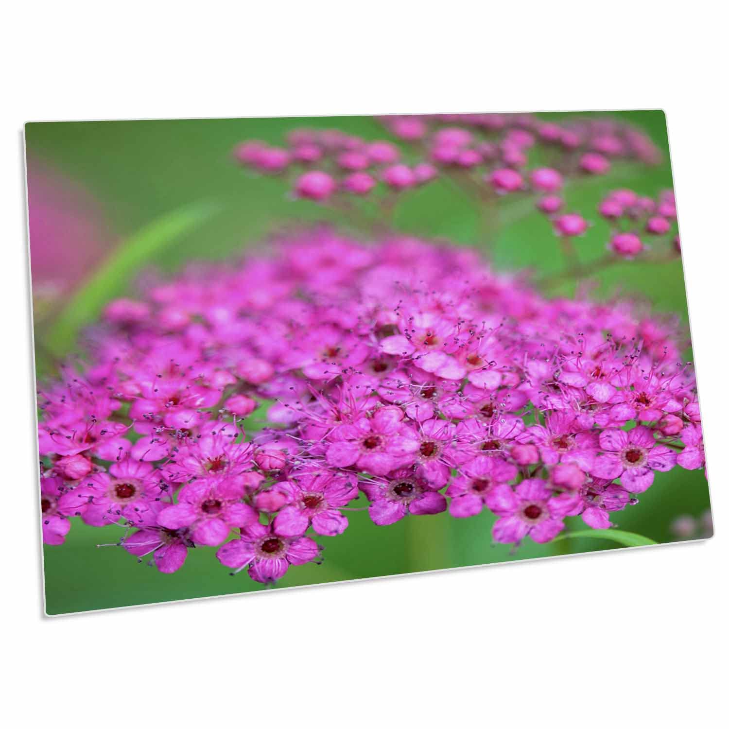 3D Rose USA Massachusetts Reading Spiraea Desk Pad Place Mats - Set of 4 Non-Slip Table Mats for Dining, Office, or Kitchen Use (dpd-259440-1)