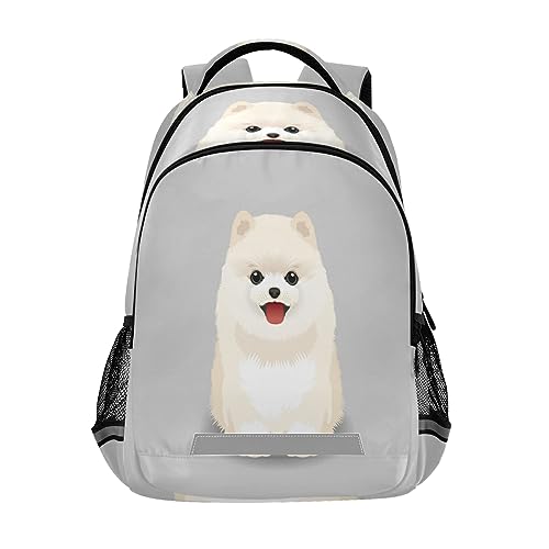 Pomeranian Dog