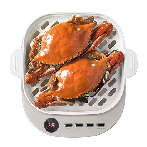 Best Electric Steamer for Healthy Cooking - 2-Tier Large Capacity Food Steamer for Vegetables, Rice & Dumplings | Perfect for Meal Prep, Baby Food & Home Kitchen Use