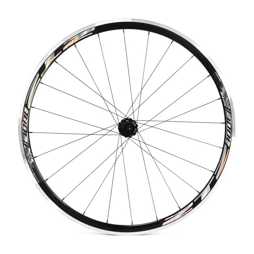 Only Rear Wheel