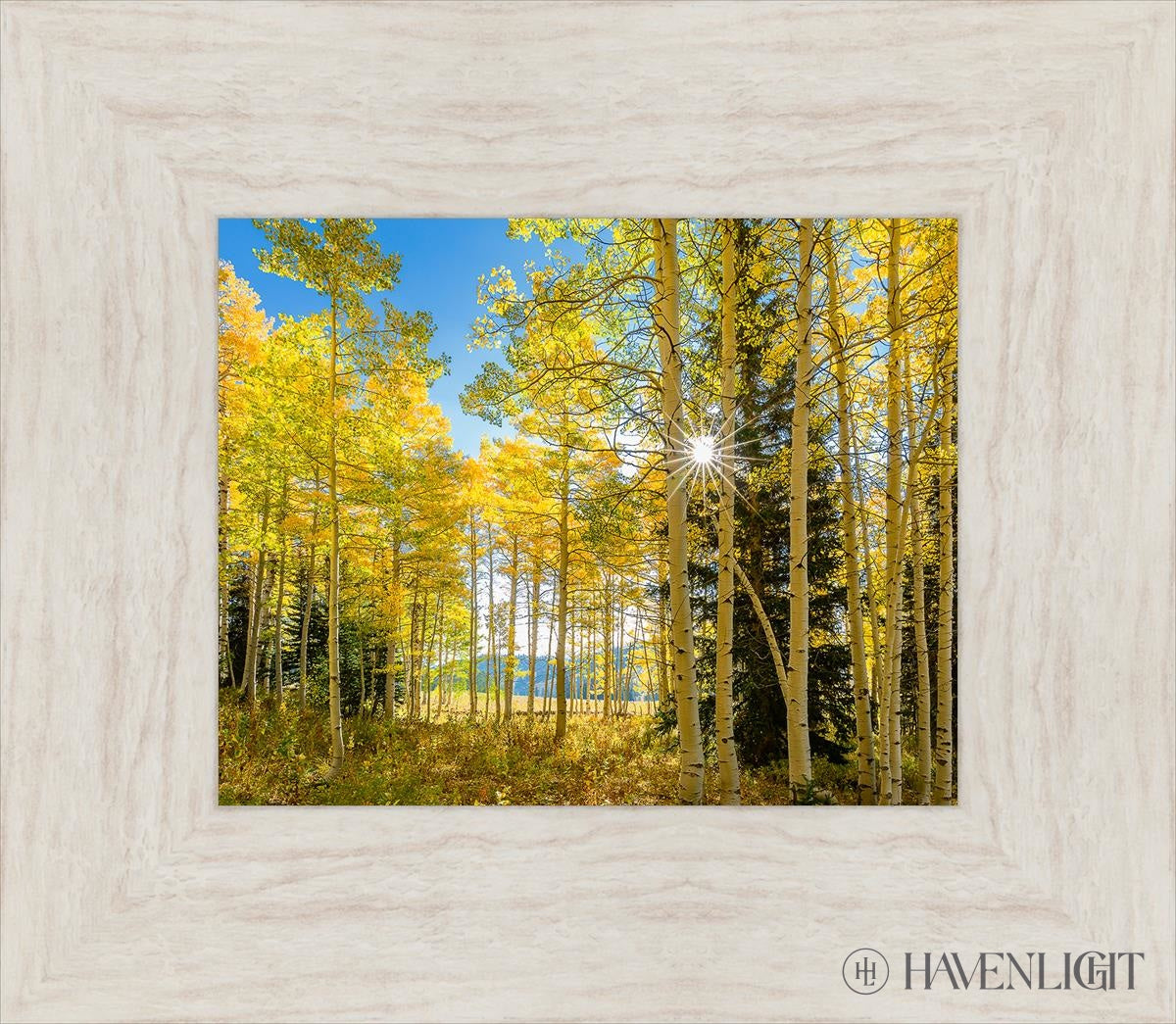 Autumn in the Rocky Mountains - Stunning Fall Foliage at Wasatch National Forest Utah | Perfect for Hiking, Photography & Nature Exploration