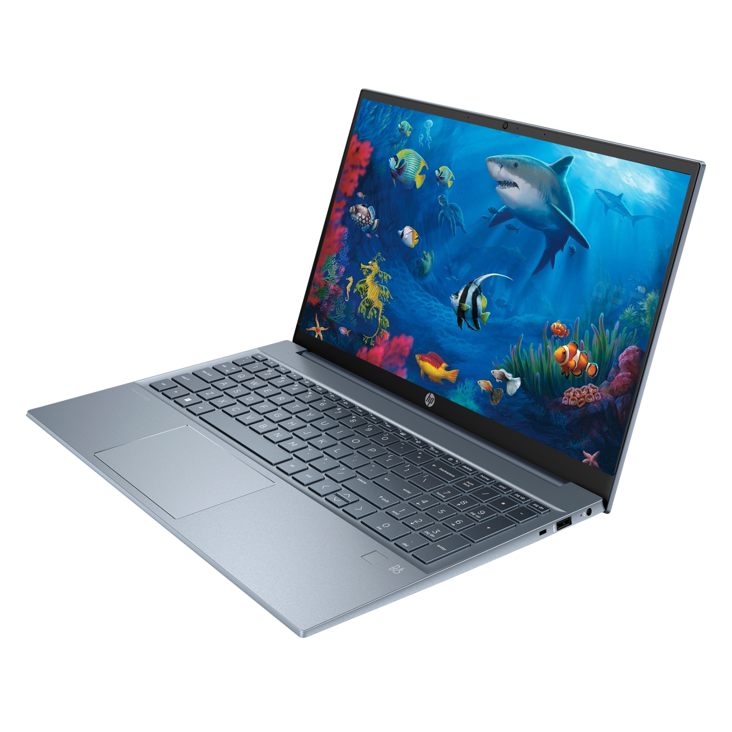 HP Pavilion 15.6