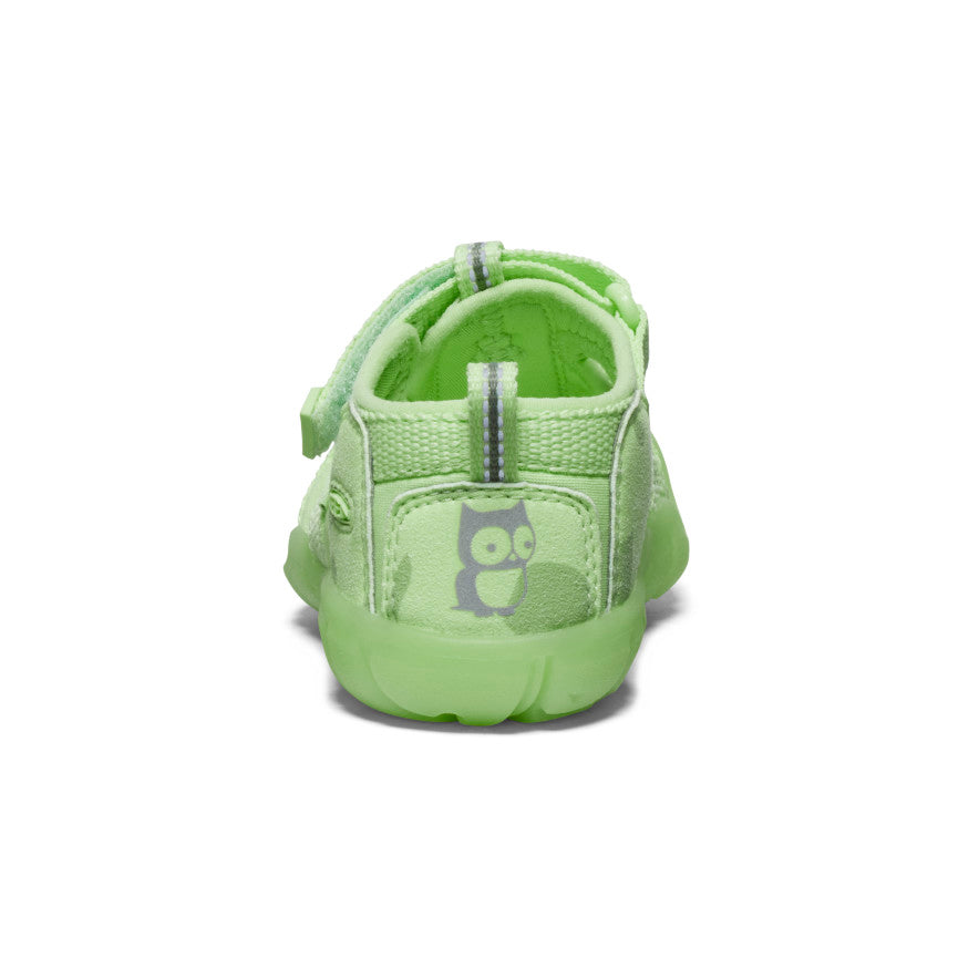 Toddlers' Seacamp II CNX Sandal by Namuk - Waterproof Beach & Outdoor Adventure Shoes for Kids - Perfect for Summer Play, Poolside, and Seaside Activities