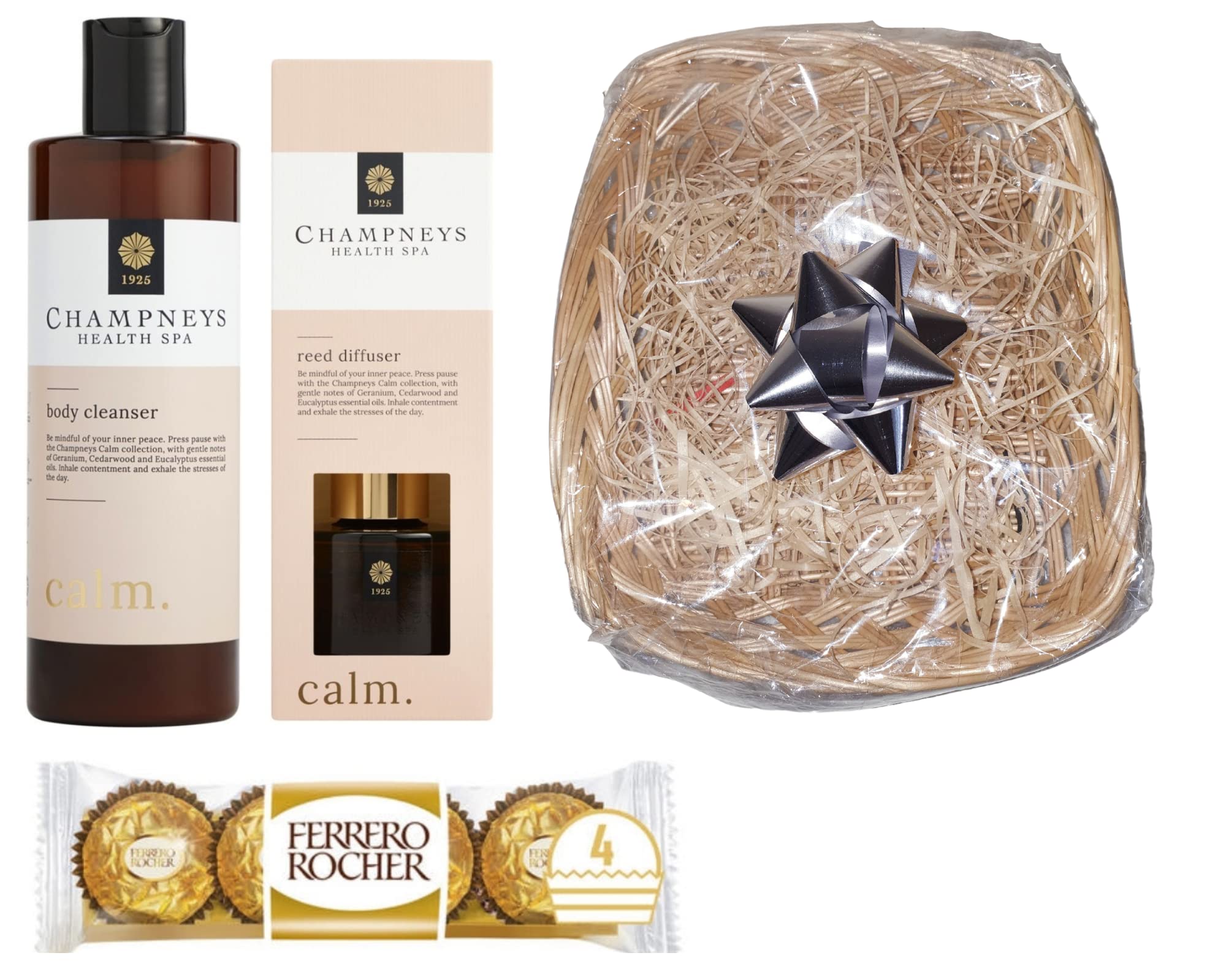 Women's Champ Health Spa Calm Body Cleanser & Reed Diffuser Gift Set - Relaxing Bath & Body Care for Women - Perfect for Self-Care, Spa Days & Thoughtful Gifts