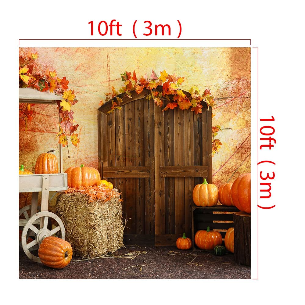 10x10ft Thanksgiving Backdrop - Autumn Pumpkin Photo Studio Props for Fall Decor