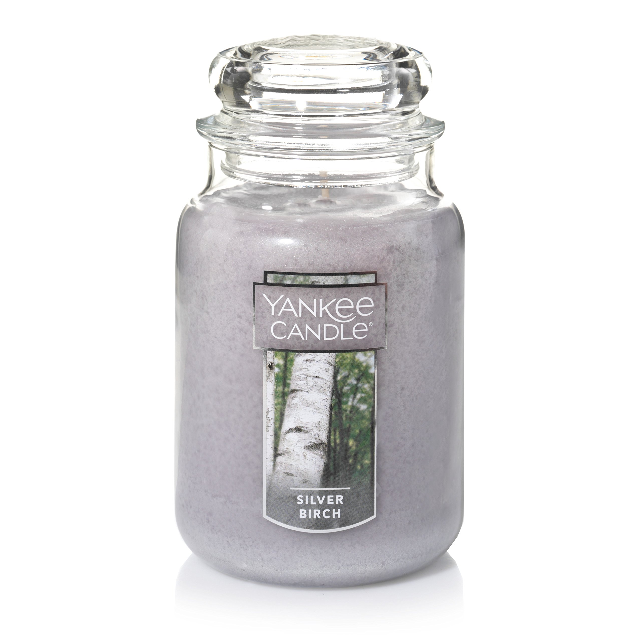 Yankee Candle Silver Birch & Midsummer's Night Large Jar Candle Set - 22oz Each | Home Fragrance, Relaxation & Romantic Ambiance for Living Room, Bedroom & Bathroom
