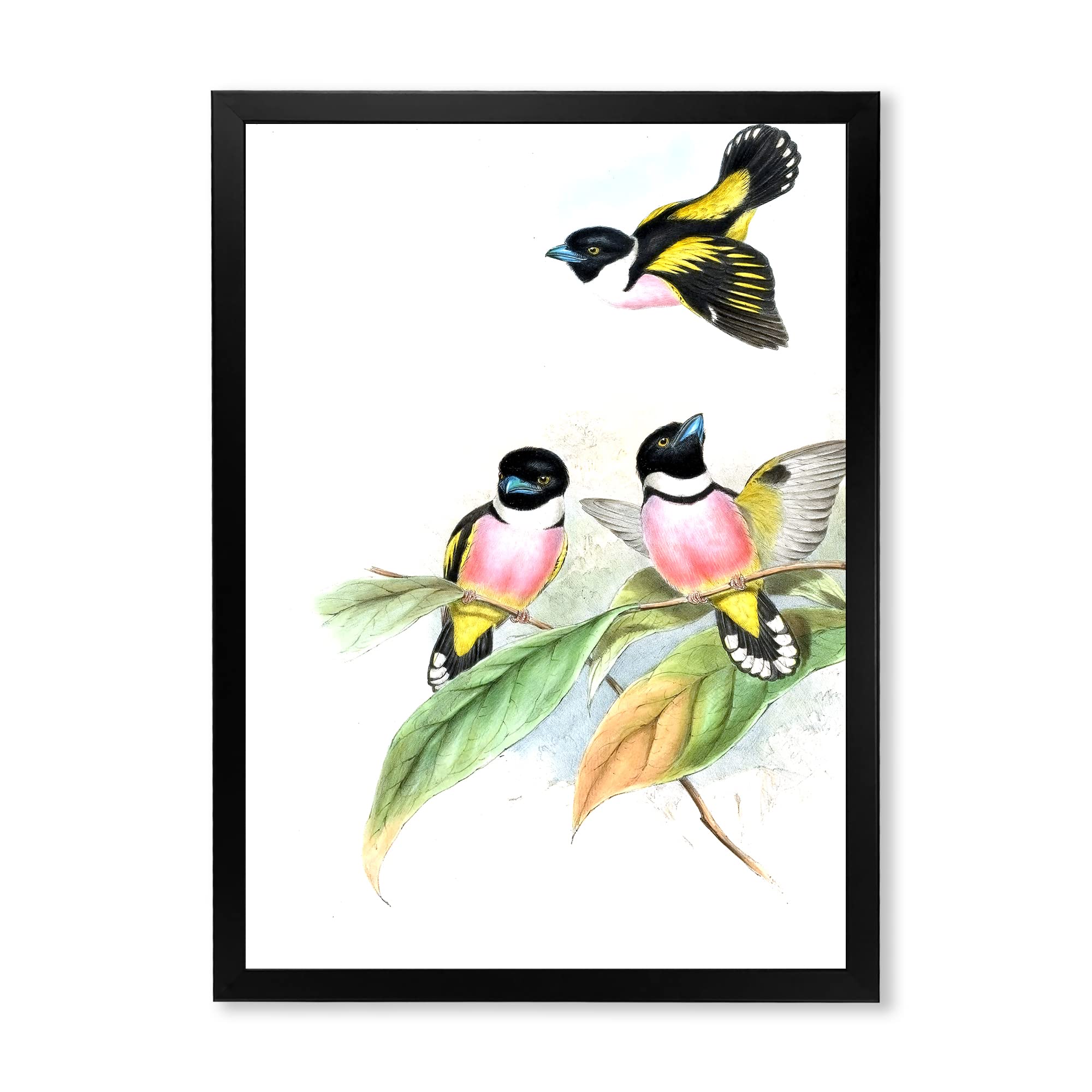 Vintage Birds III Traditional Framed Wall Art - Hand-Painted Canvas Painting for Living Room, Bedroom & Office Decor - Nature Inspired Home Decoration for Housewarming Gift & Interior Design