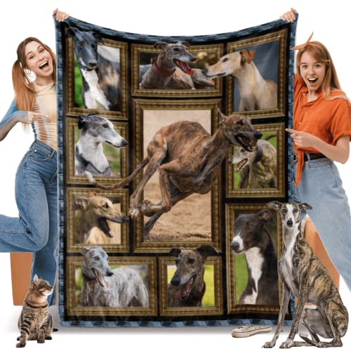 Greyhound Dog