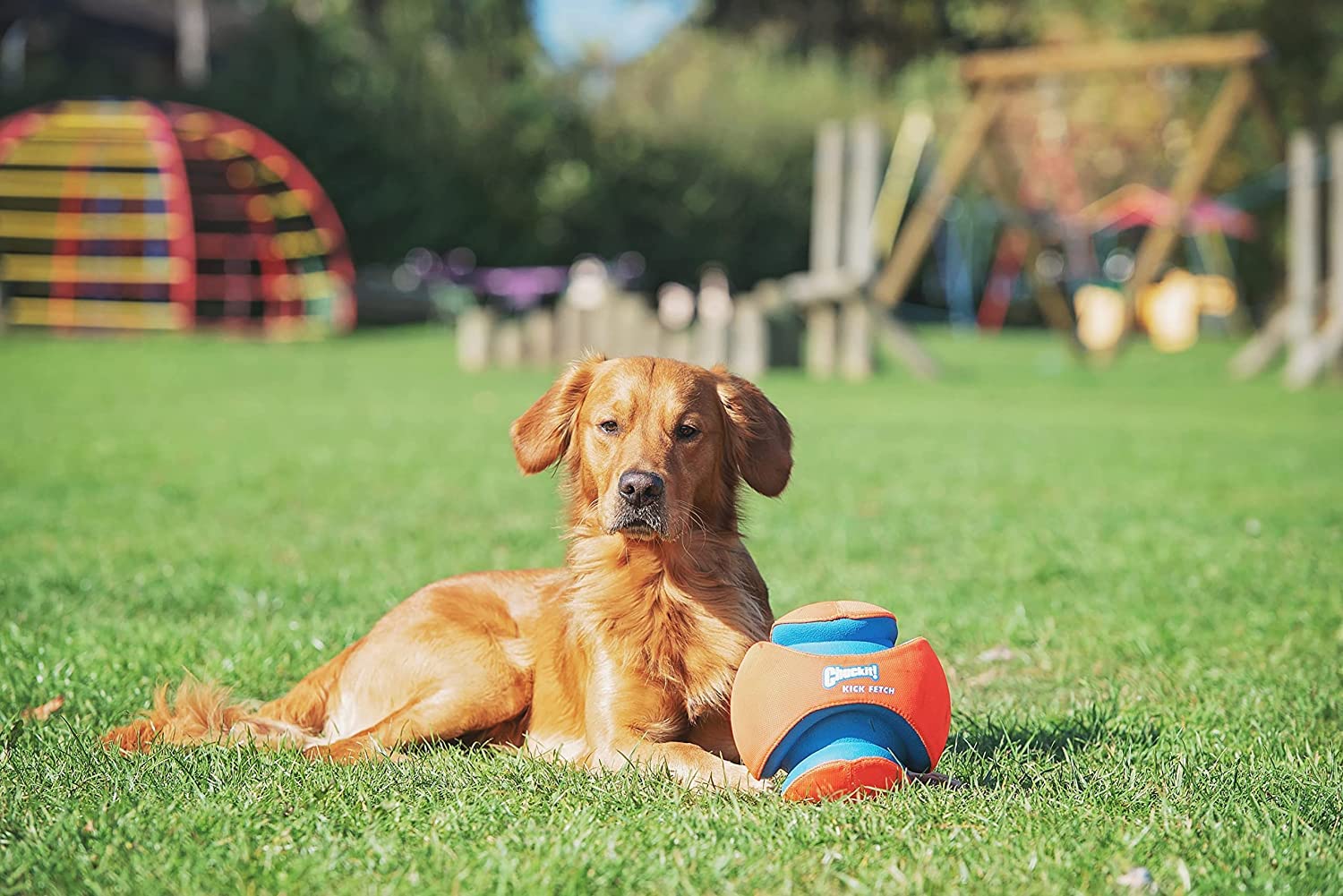 LG Kick Fetch Interactive Dog Toy - Durable Chew-Resistant Ball for Outdoor Play & Training - Perfect for Active Dogs & Puppies
