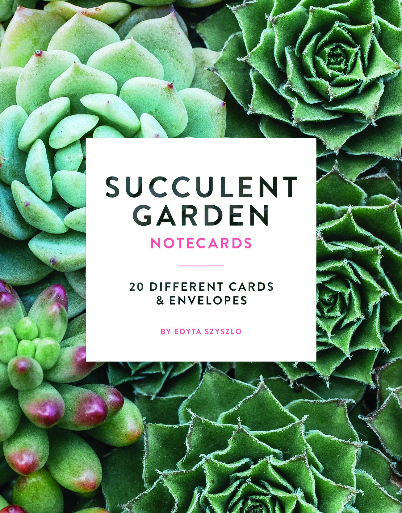 Succulent Garden Notecards Set - 20 Unique Blank Greeting Cards with Envelopes | Botanical Stationery for Thank You Notes, Wedding Invitations & Plant Lover Gifts