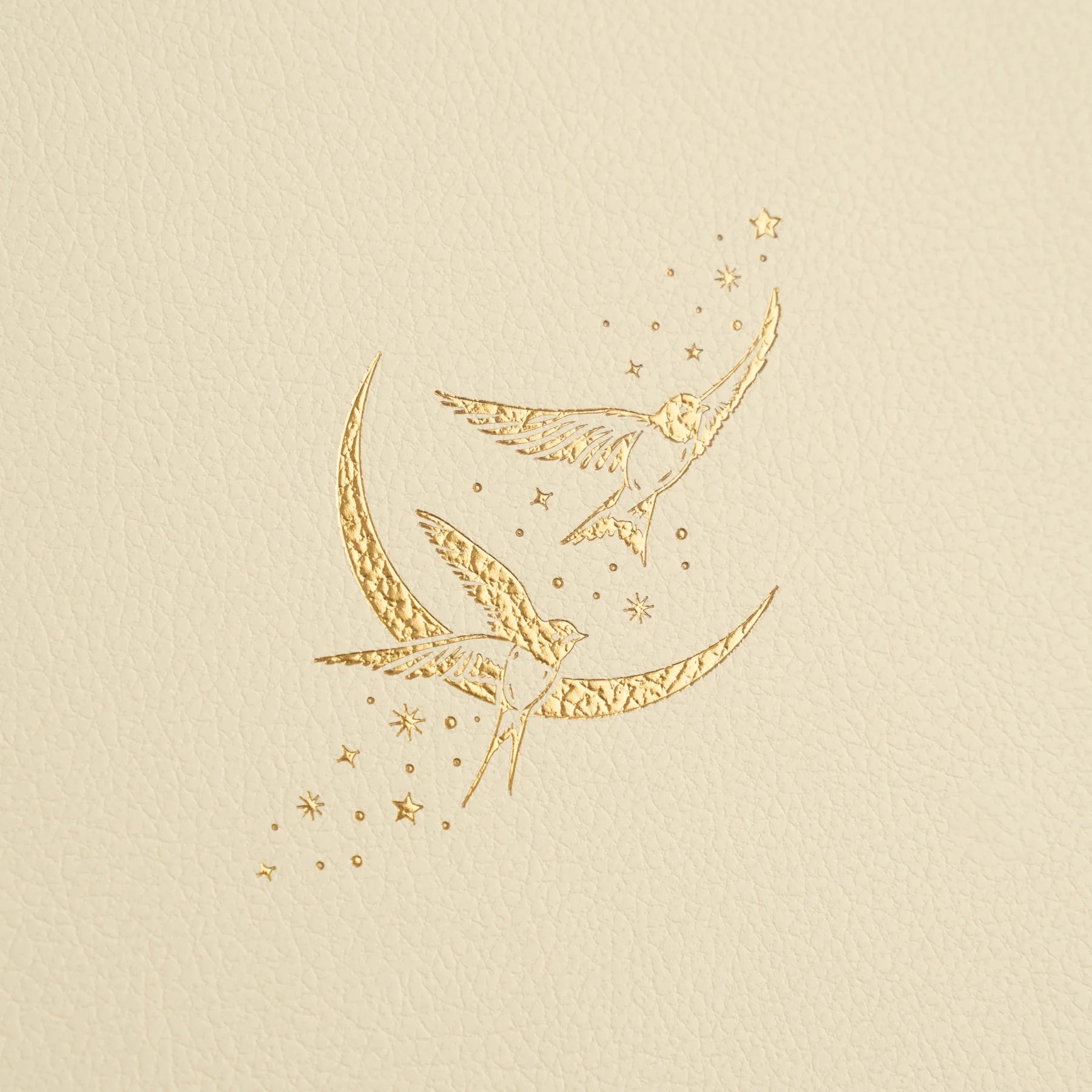 Archer and Olive B5 Swallows Dot Grid Notebook - Premium Bullet Journal for Planning, Sketching & Note Taking - Perfect for Students, Artists & Professionals