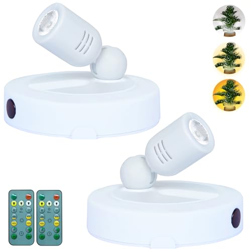 White-3CCT