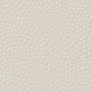 Leather-Bone