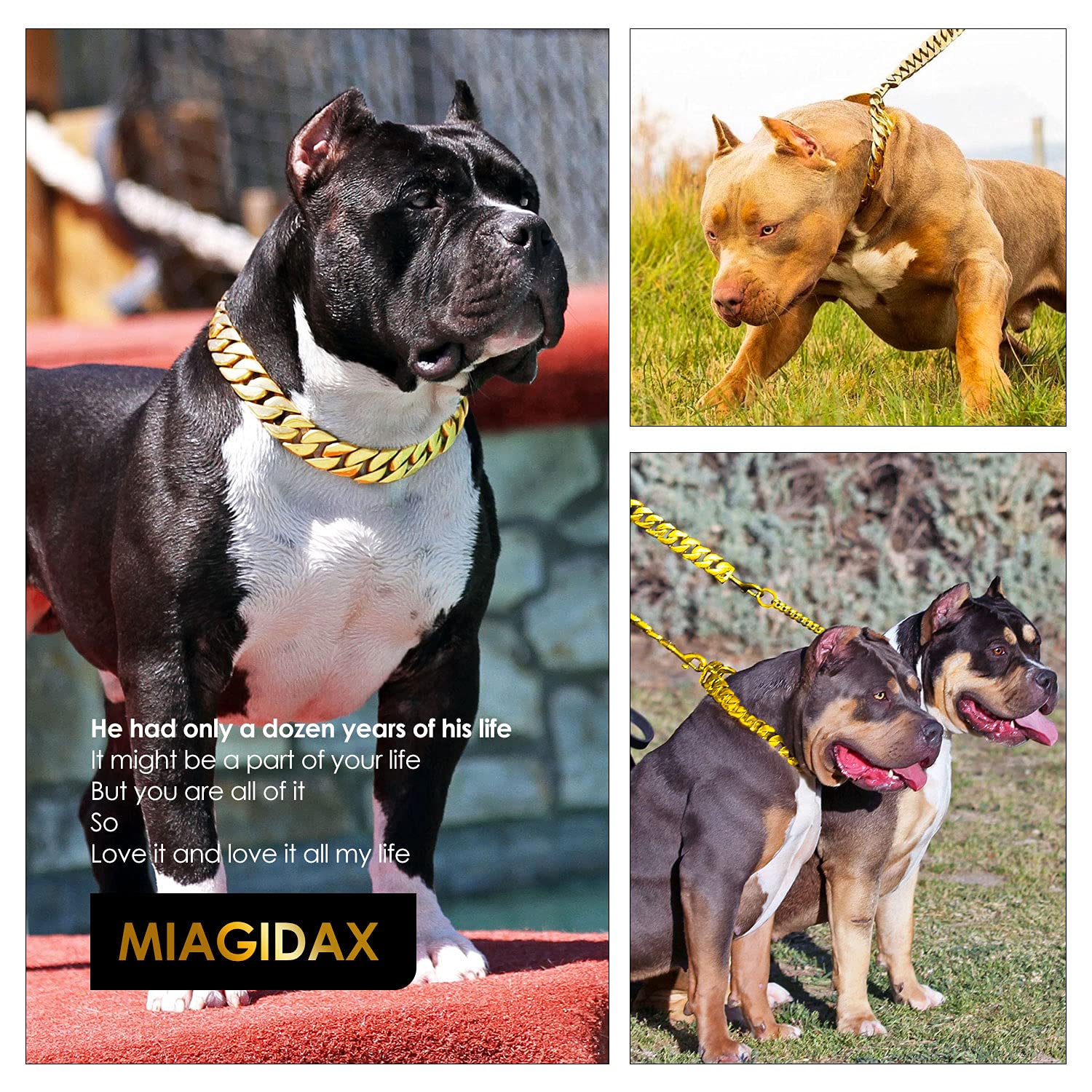 32MM Thick Heavy Duty Cuban Link Dog Collar - Solid Stainless Steel Gold Chain Collar with Buckle for Large Breeds | Durable Metal Dog Collar for Training, Walking & Protection