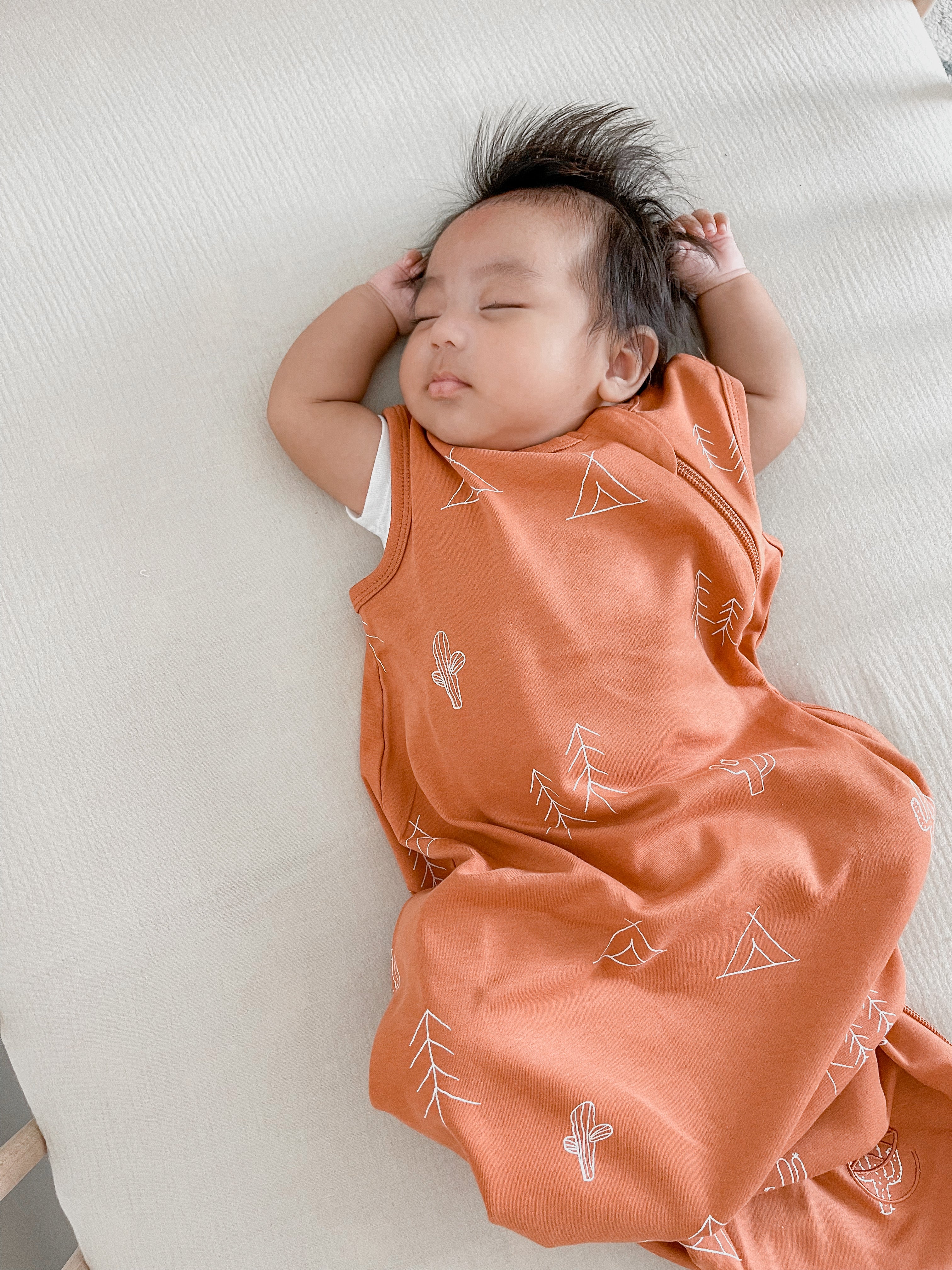 Ecolino Organic Cotton Baby Sleep Sack - Breathable & Comfortable for Newborns & Toddlers - Perfect for Nursery, Travel & Bedtime - Desert Design