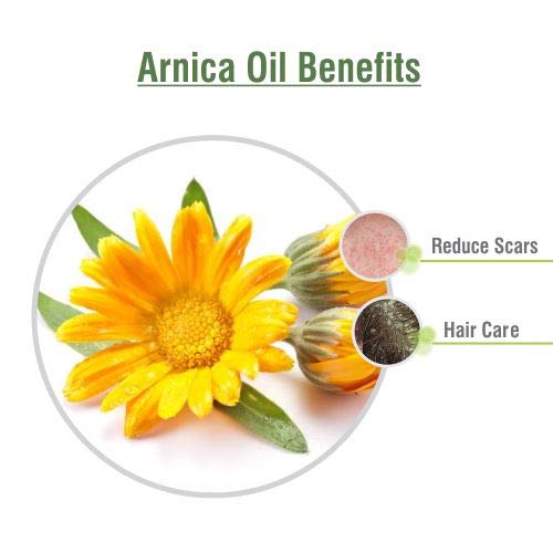100% Pure Arnica Montana Essential Oil - Undiluted, Cold Pressed, Therapeutic Grade for Aromatherapy & Massage - 67.62 Fl Oz Amber Glass Bottle by Salvia - Perfect for Pain Relief, Muscle Recovery & Skin Care