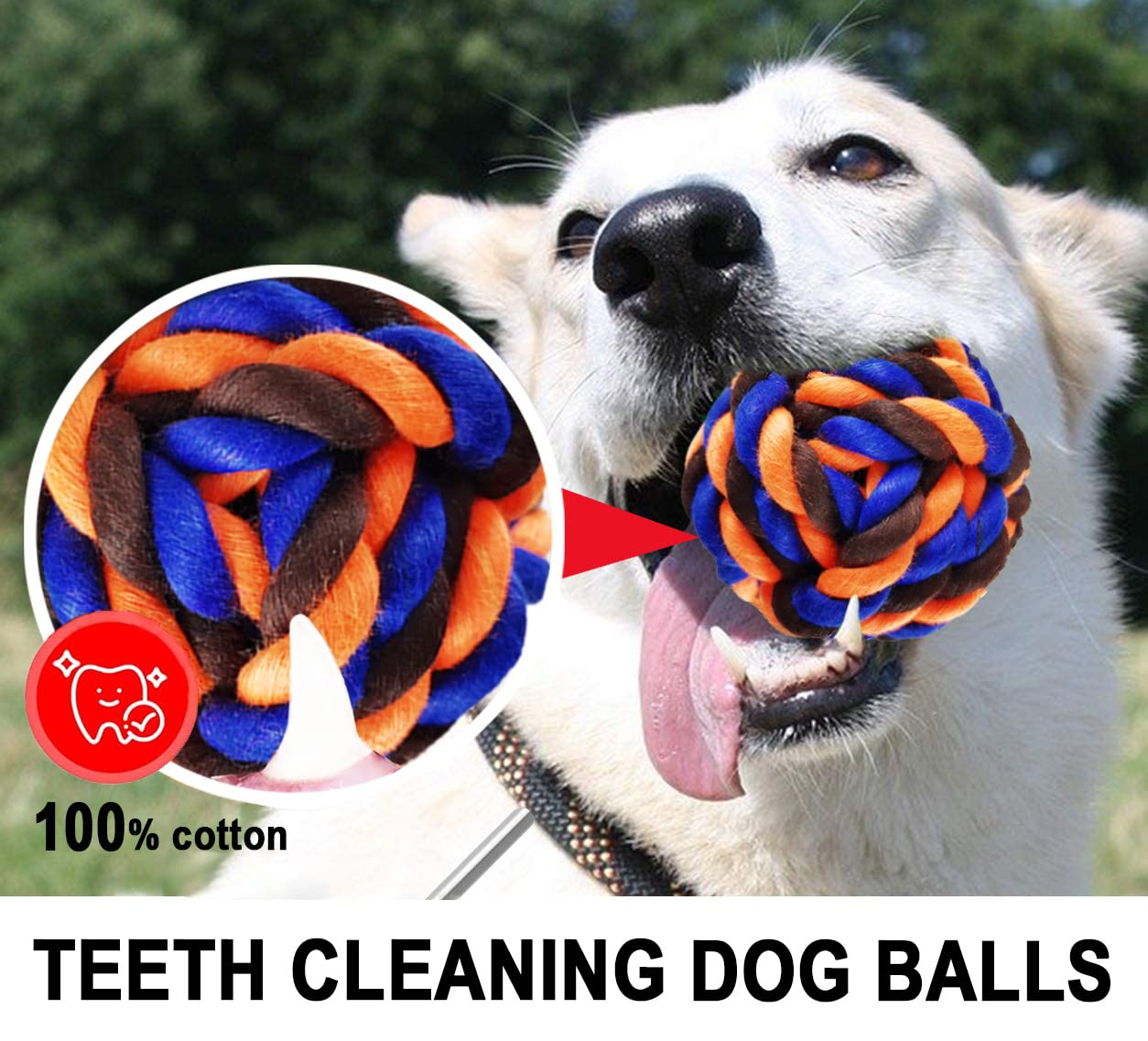 LosFong Tough Dog Chew Toys - 6 Pack Durable Balls & Rope Toys for Medium Large Breeds, Aggressive Chewers, Dental & Teething Toys | Perfect for Outdoor Play, Training, and Teeth Cleaning