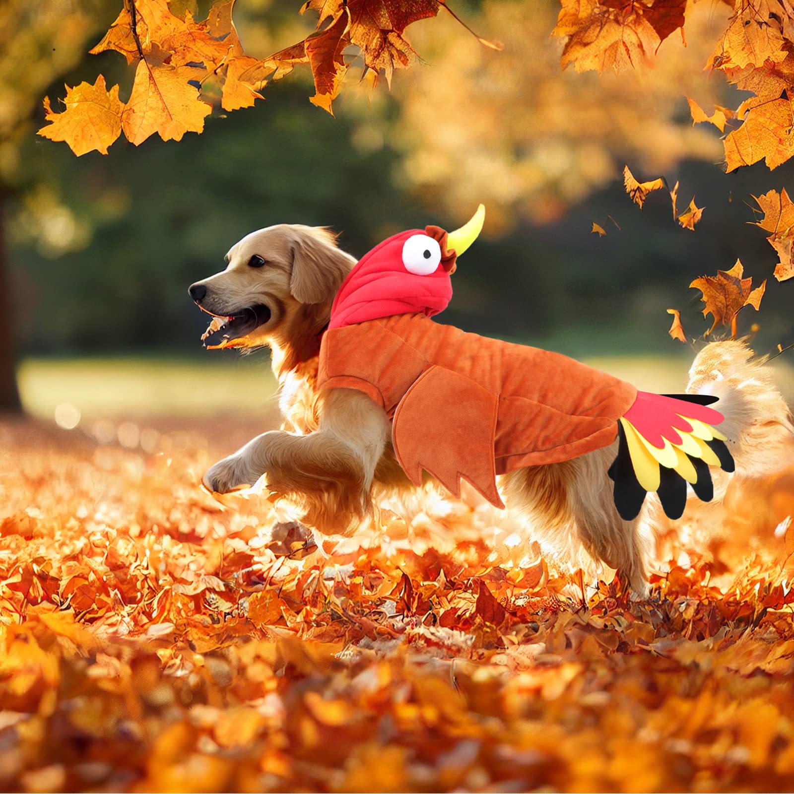 BWOGUE Thanksgiving Turkey Dog Costume - Cute Pet Apparel for Dogs & Cats - Perfect for Thanksgiving, Halloween & Holiday Dress Up Parties