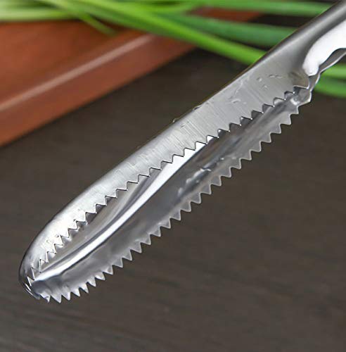 WOIWO Stainless Steel Fish Scale Scraper - Durable Kitchen Tool for Removing Fish Scales Easily - Perfect for Home Cooking, Fishing Trips & Professional Chefs