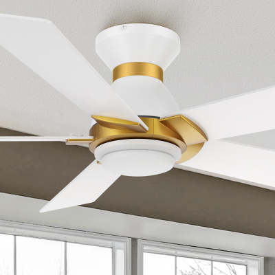 A Breeze of Innovation: The Aspen Smart Ceiling Fan