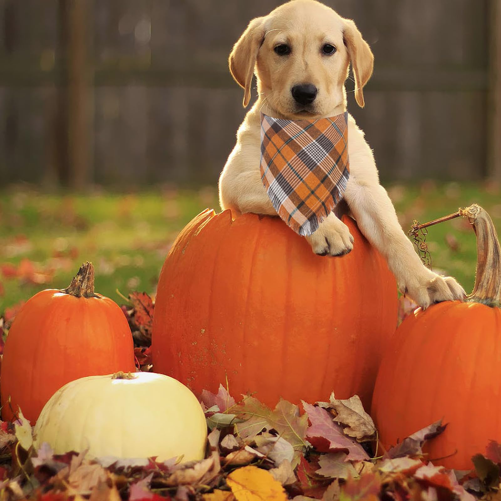 LMSHOWOWO 2 Pack Reversible Thanksgiving Dog Bandanas - Soft Cotton Double Layer Plaid Fall Scarf for Medium & Large Dogs (Orange Brown) - Perfect for Autumn Walks, Holiday Photos & Seasonal Pet Fashion