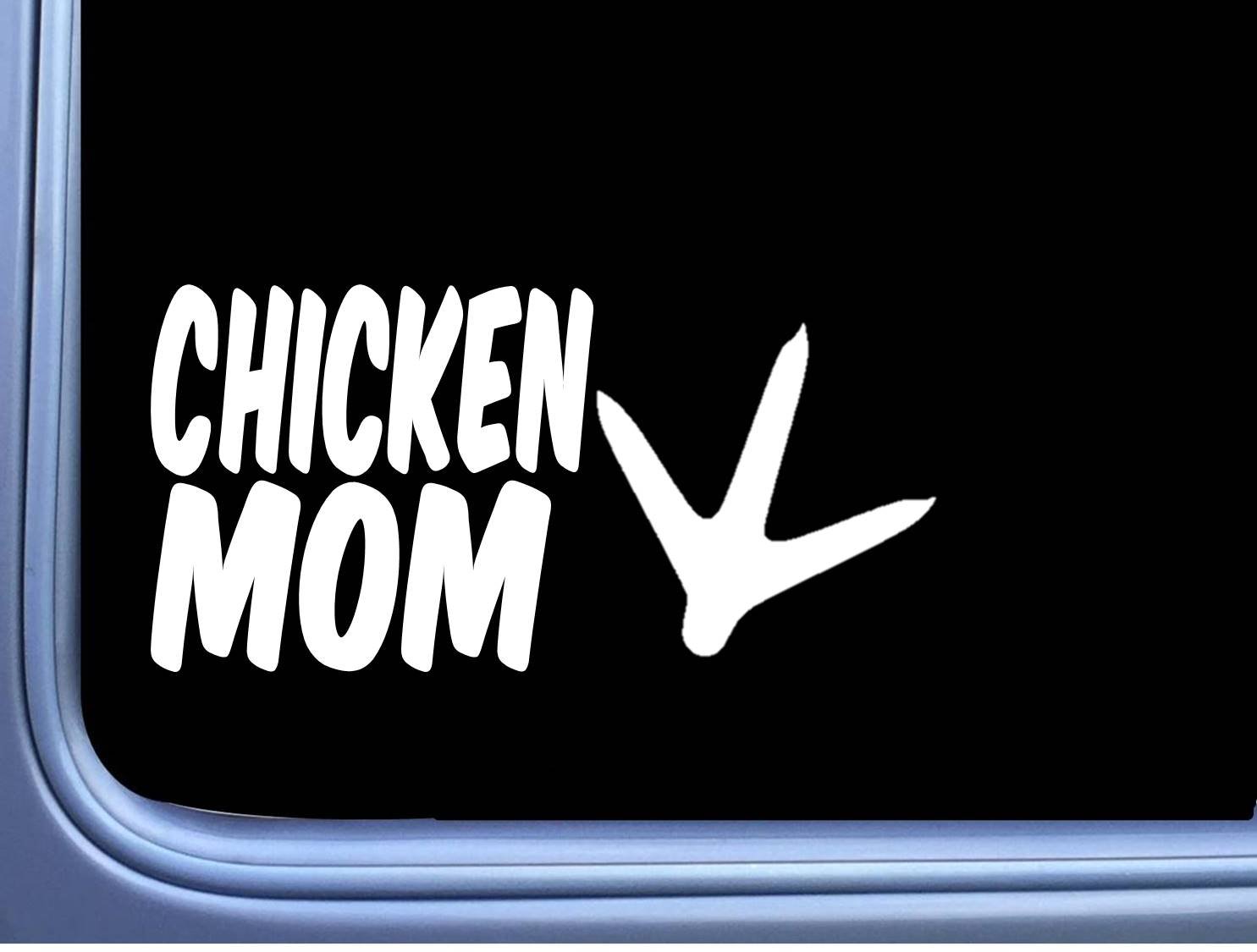 8 Inch Chicken Egg Basket Incubator - Hatch Chick Feeder with Sticker Decal for Poultry Farming | Perfect for Backyard Chicken Coops & Small Farm Egg Hatching