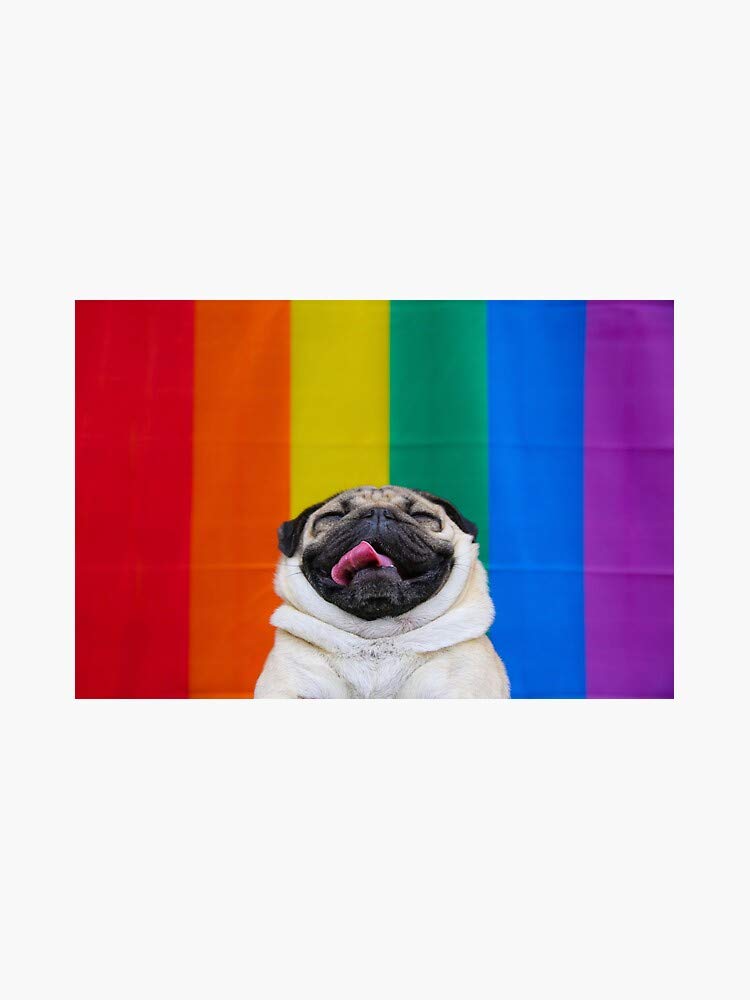Pug Gay Pride Bumper Sticker - Waterproof Vinyl Decal for Cars, Windows & Laptops (5 Inch) - Show Your LGBTQ+ Support with Cute Pug Design