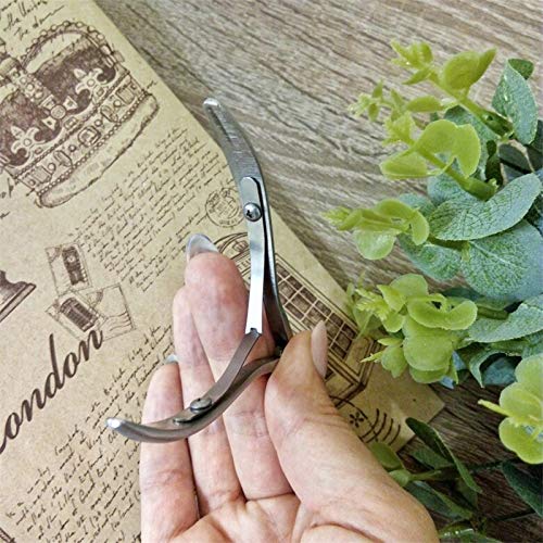 Professional Heavy Duty Stainless Steel Nail & Toenail Clippers for Thick & Ingrown Nails - Cuticle Remover Scissors & Cutters (9.5cm x 6cm) - Perfect for Pedicure, Manicure & Home Grooming