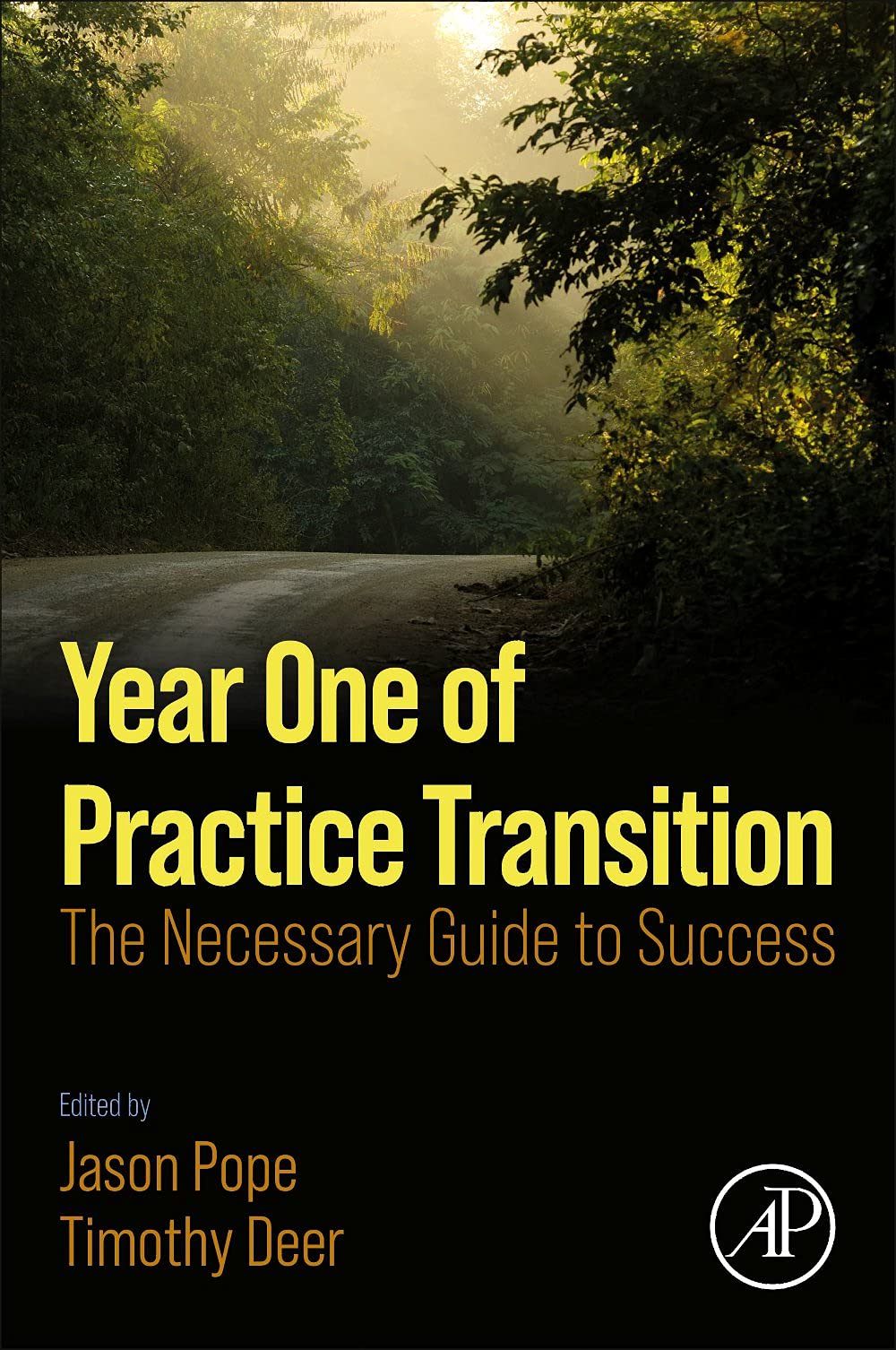 Year One of Practice Transition: Essential Guide to Success for Dentists & Healthcare Professionals - Perfect for New Practices & Career Growth