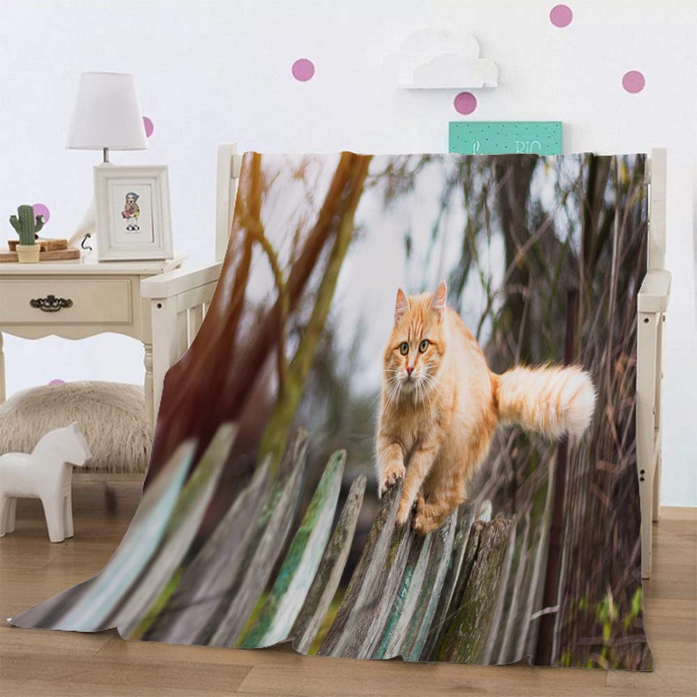 Soft Flannel Tabby Cat Throw Blanket - Cozy Orange Cat Design with Wooden Fence Autumn Scene - Perfect for Couch, Bed, Chair, Travel & Camping - Ideal for Home Decor, Gifts, and Pet Lovers