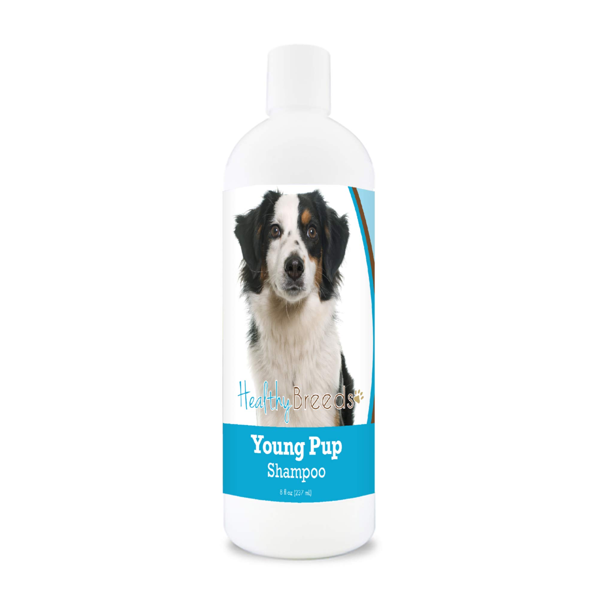 Healthy Breeds Miniature American Shepherd Puppy Shampoo - 8 oz Gentle Tear-Free Formula for Sensitive Skin - Perfect for Bathing, Grooming & Coat Care