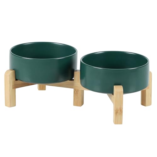 Double Bowls+ Stand - Green