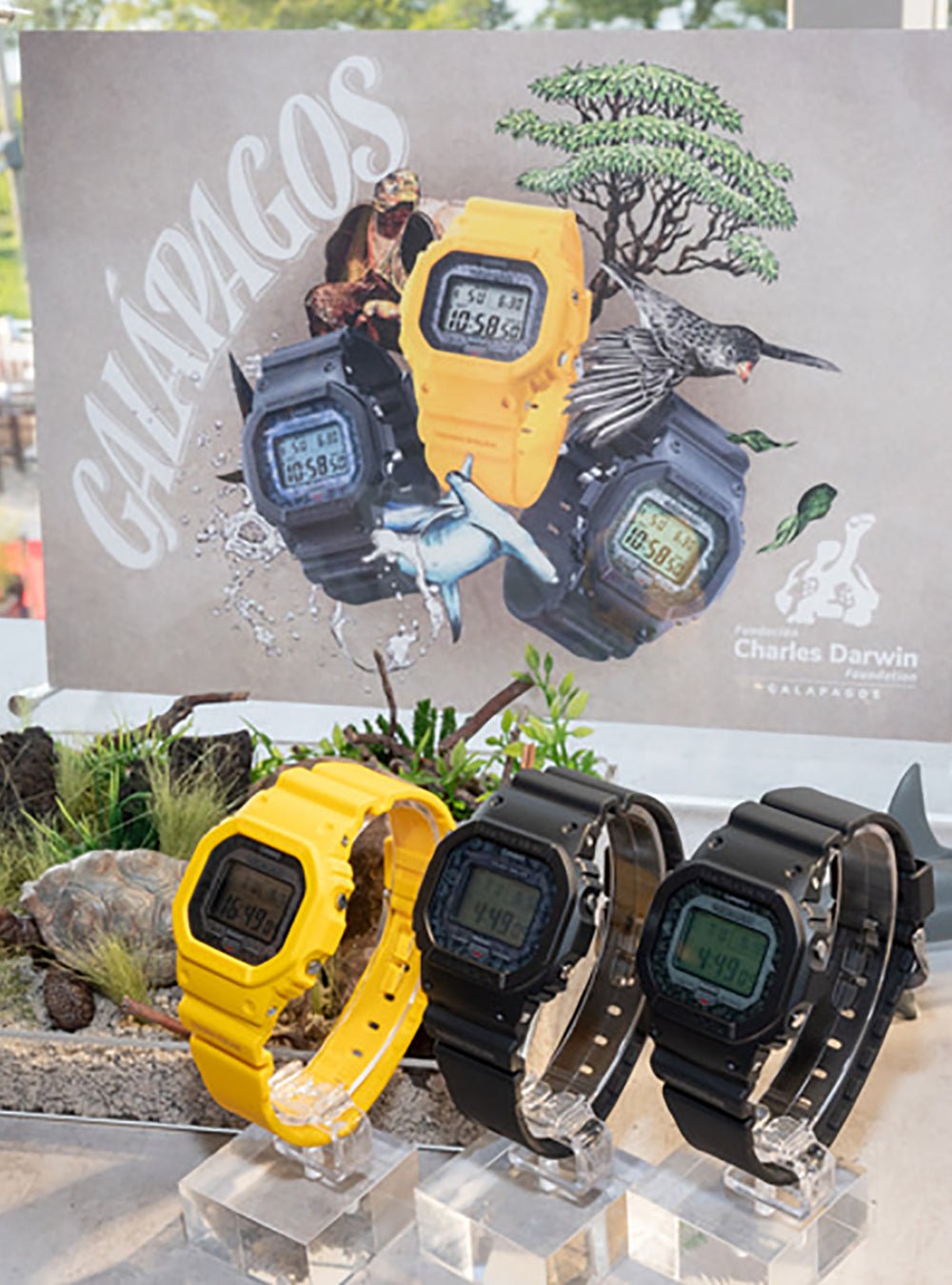 CASIO G-Shock GW-B5600CD Digital Watch - Charles Darwin Foundation Collaboration - JDM Limited Edition for Men | Outdoor, Sports & Everyday Wear