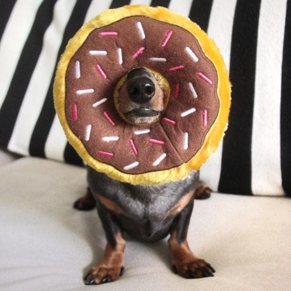 Squeaky Chocolate Plush Donut Dog Toy - Interactive Chew Toy for Small & Large Dogs - Fun Squeaker Sound for Playtime & Training - Perfect for Fetch, Cuddles & Teething Puppies