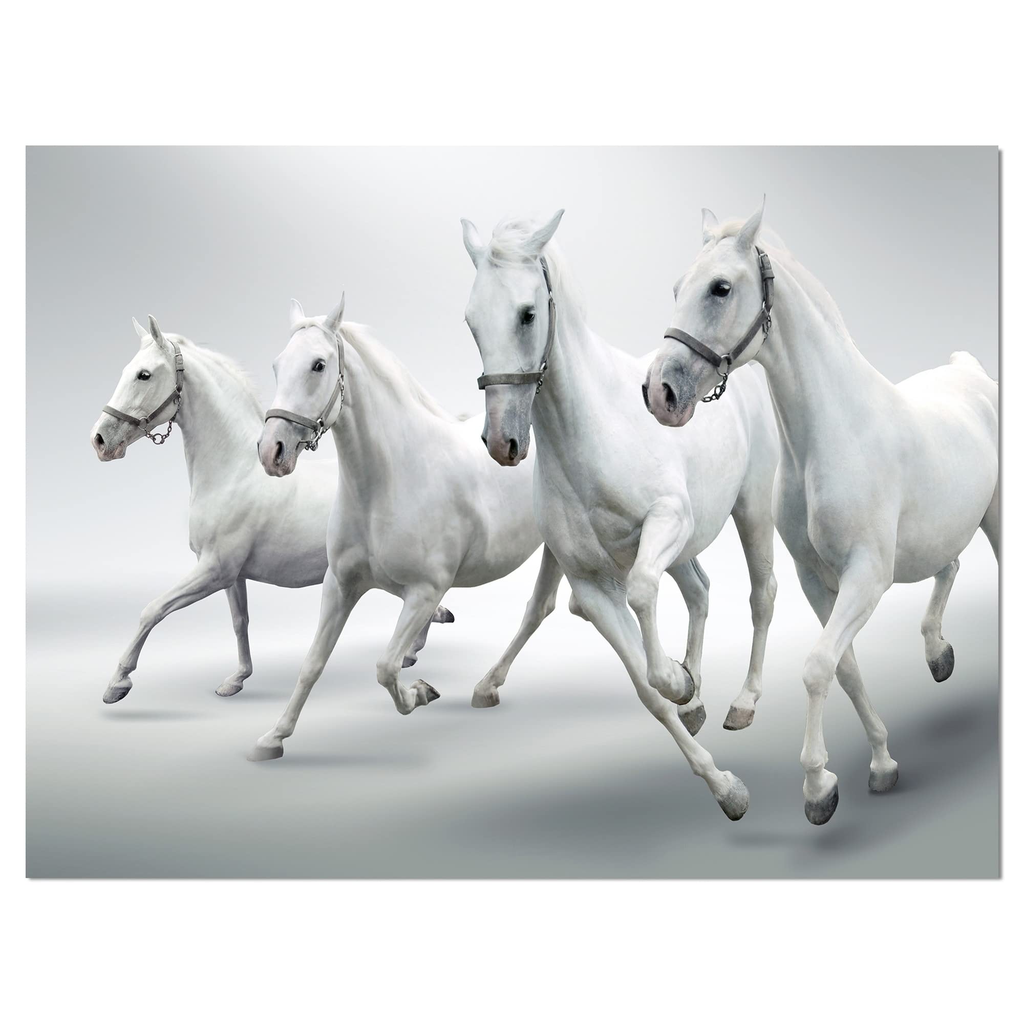 DesignArt 'Four White Horses' Farmhouse Animal Photography Print on Wrapped Canvas - 40x30 Inches - Perfect for Living Room, Bedroom & Country Home Decor