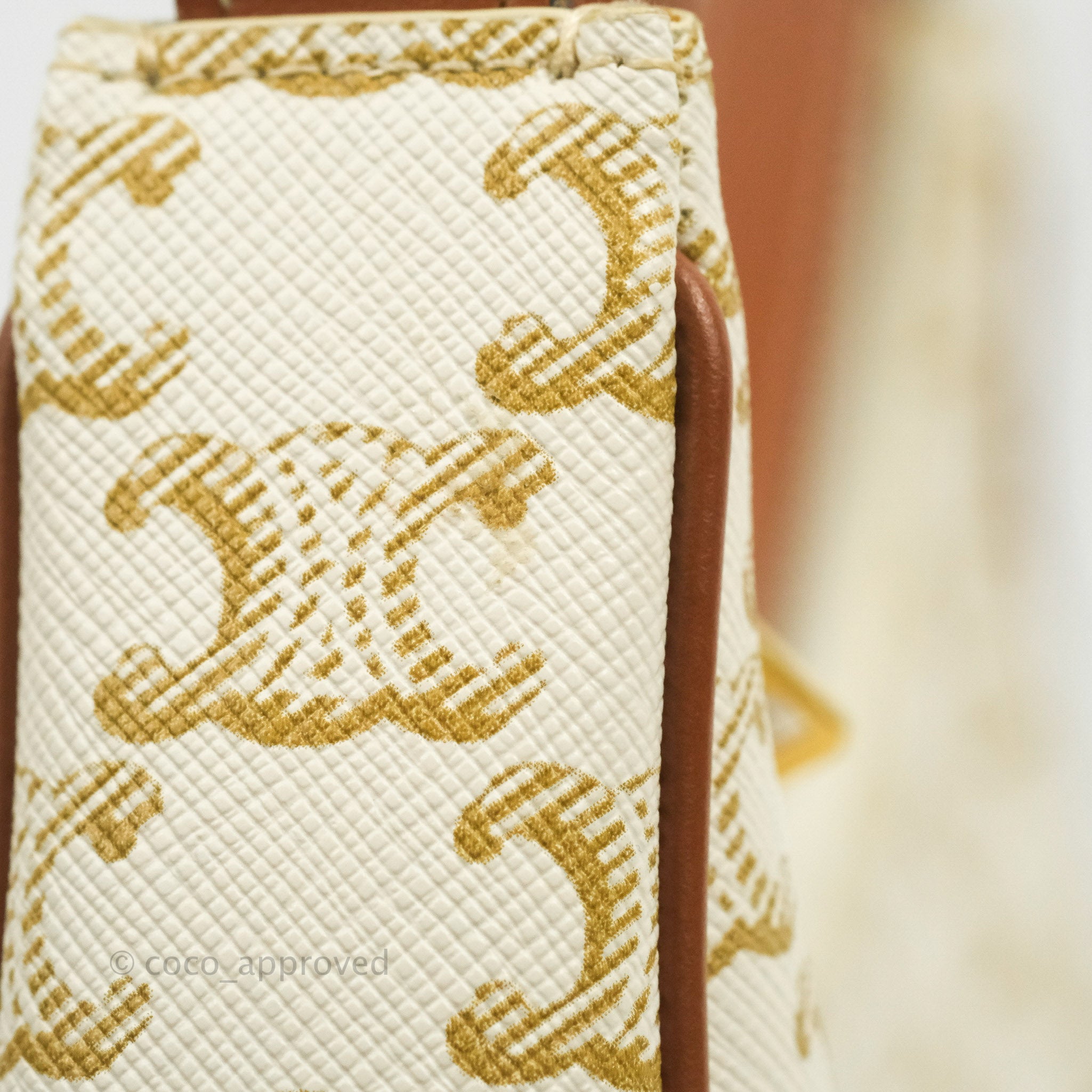 Celine Ava Bag in Triomphe Canvas & Calfskin Leather - White Luxury Handbag for Women | Perfect for Work, Travel & Everyday Use