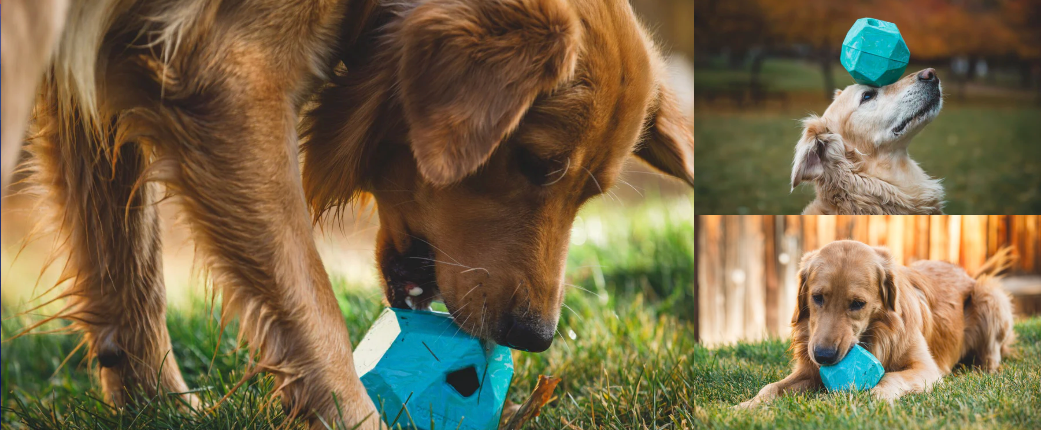 Ruffwear® Gnawt a Rock® Glacial Blue Dog Food and Treat Dispenser - Perfect for Outdoor Adventures, Hiking, and Training Sessions