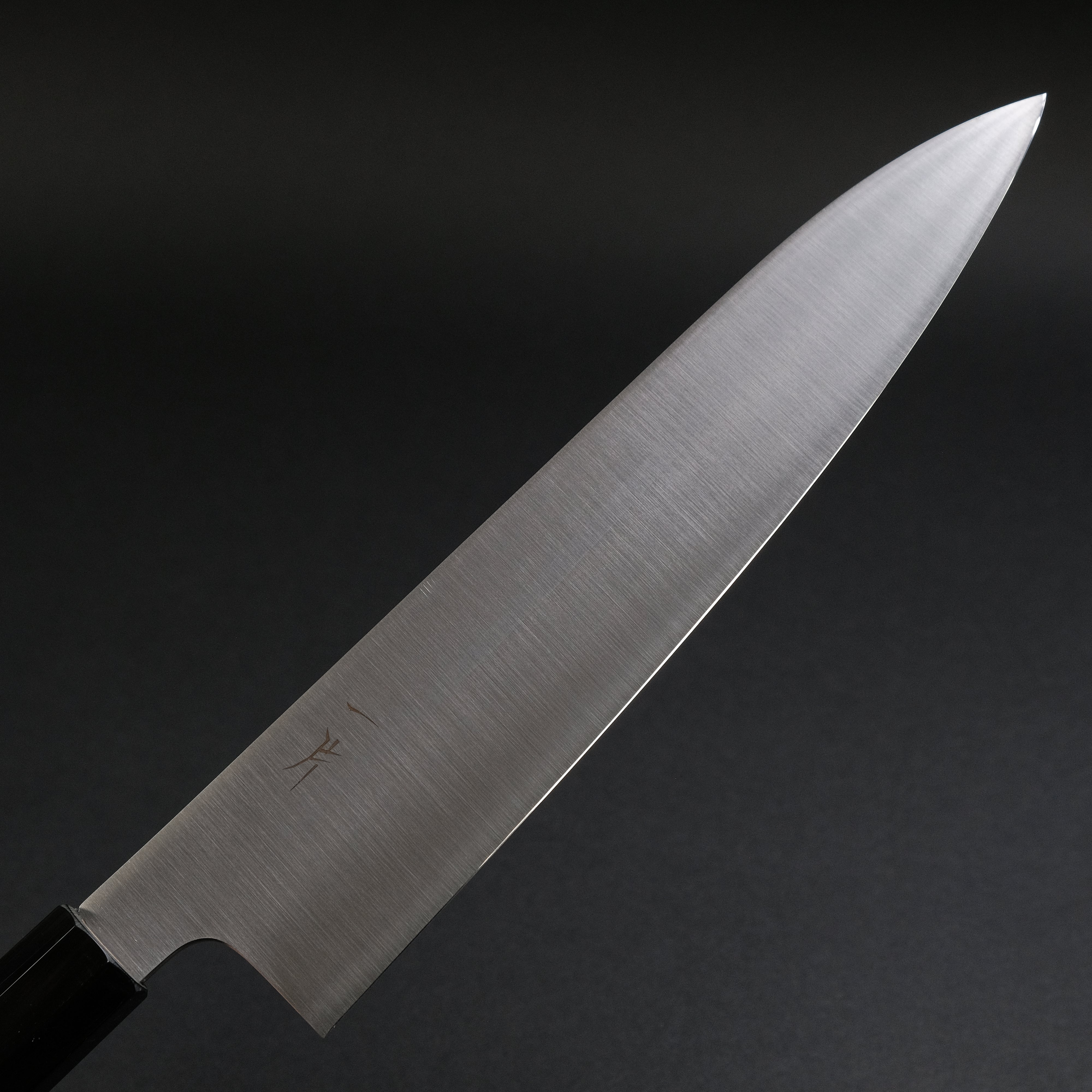 Hitohira FJ VG-10 Gyuto Japanese Chef Knife 240mm with Taihei Ho Wood Handle - Professional Kitchen Tool for Sushi, Meat Cutting & Food Preparation