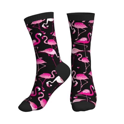 Flamingos