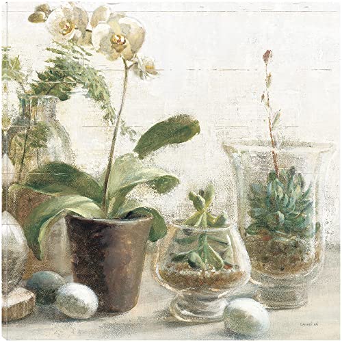 Greenhouse Orchids on Shiplap III