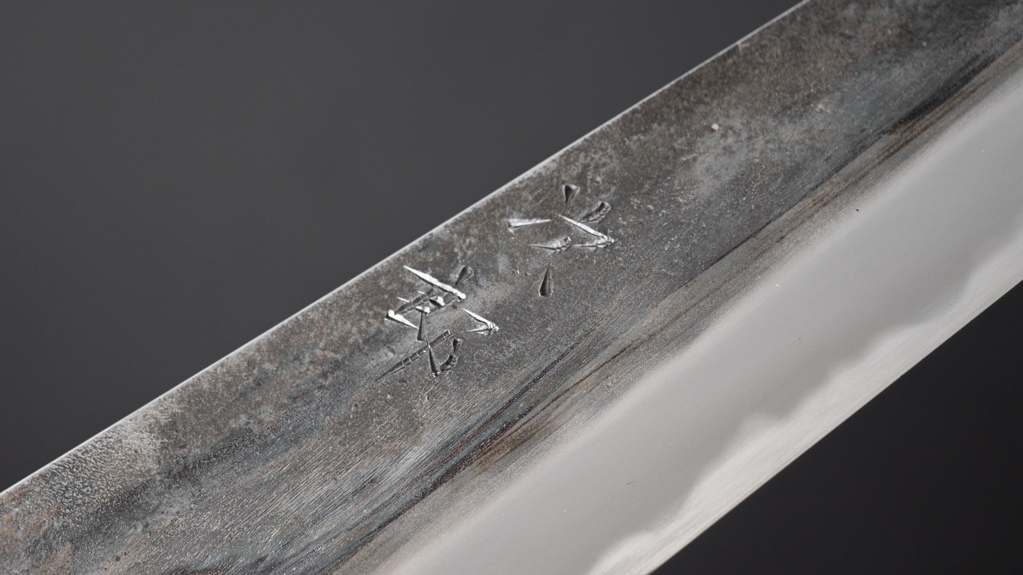 Premium Jiro Tsuchime Wa Sujihiki 240mm Japanese Slicing Knife - Taihei Tagayasan Handle (#390) - Perfect for Sushi, Sashimi & Meat Carving