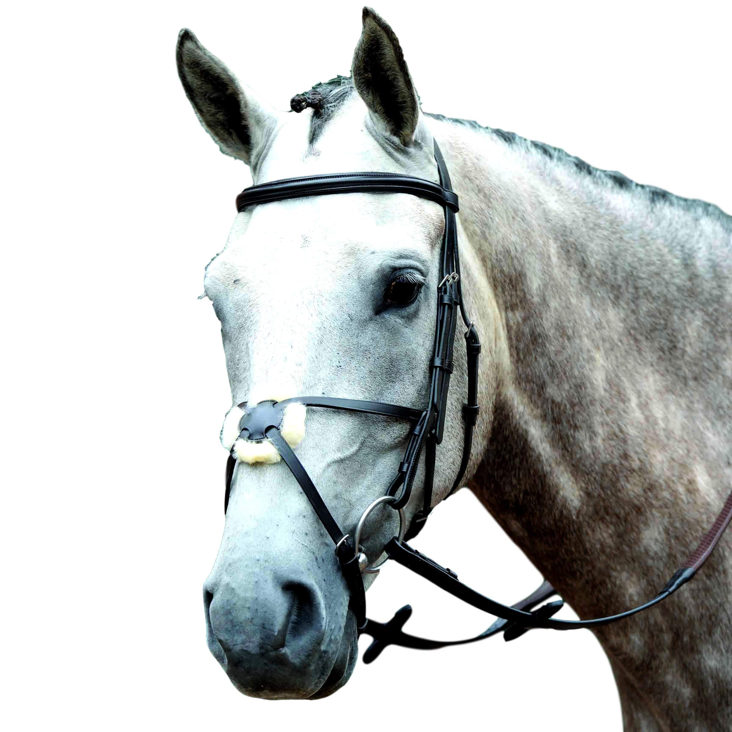 Premium Padded Raised Figure 8 Bridle for Horses - Comfortable Brown Leather Cob Size - Ideal for English Riding, Dressage & Show Jumping