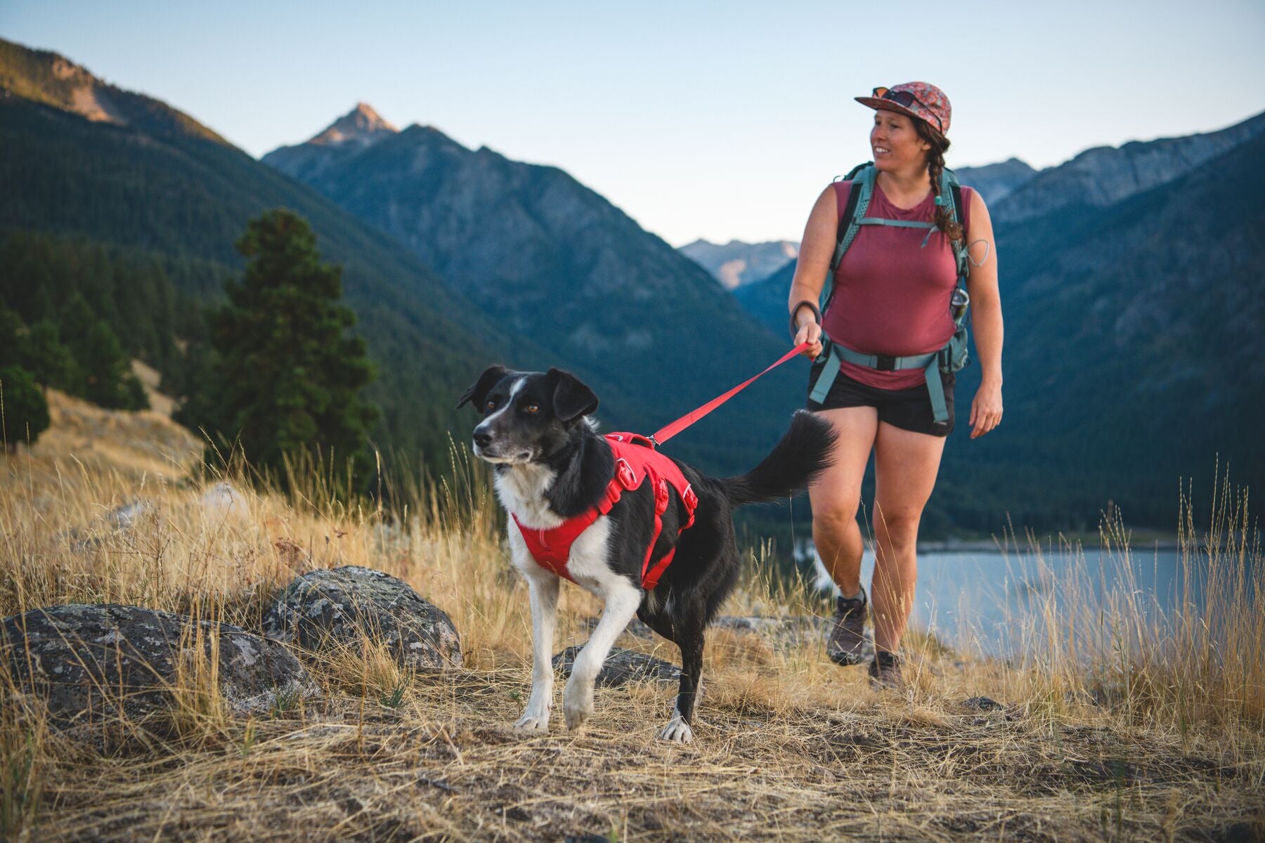 Ruffwear® Web Master™ Multi-Use Dog Harness with Handle & Anti-Pull System - River Rock Green - Perfect for Hiking, Running & Outdoor Adventures