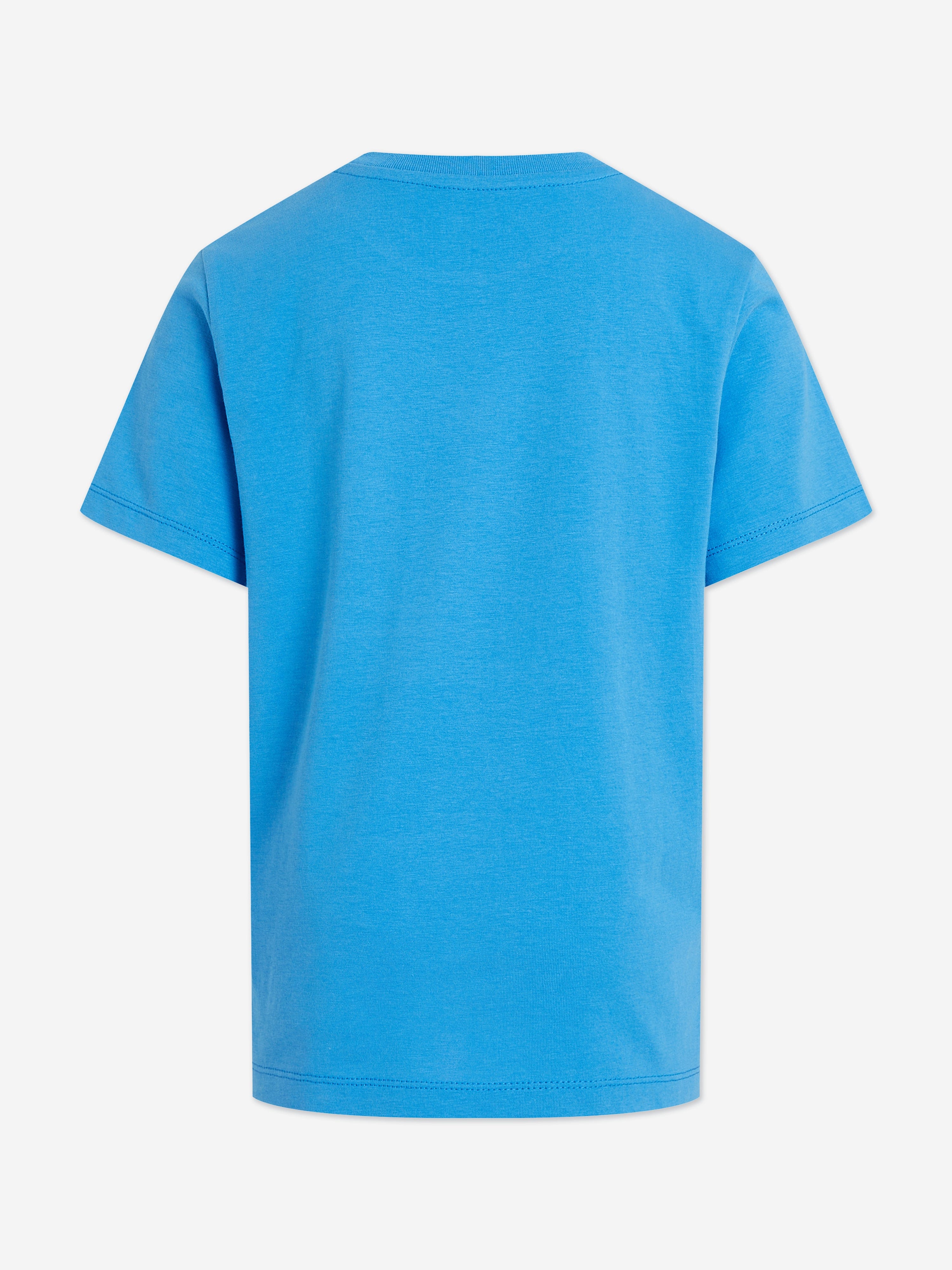 Boys' Regular Fit Blue T-Shirt - Comfortable Cotton Tee for Everyday Wear & Casual Outfits